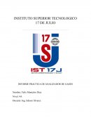 INFORME PRACTICA DE ANALIZADOR DE GASES