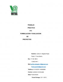 Basico Evaluacion Proyecto. Página 1