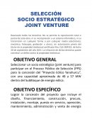SELECCION DE SOCIO PARA JOINT VENTURE