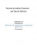 Técnicas de Análisis Financiero por Tipo de Vehículo