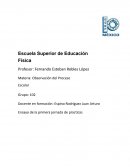Ensayo de practicas primaria
