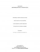 INFORME CINE FORO (ERIN BROCKOVICH UNA MUJER AUDAZ)