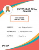 Informe de Viscosidad