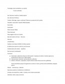 INTRODUCCIÓN A LA PSICOLOGÍA