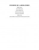 INFORME DE LABORATORIO