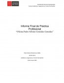 Informe Final de Práctica Profesional “Oficina Pedro Alfonso González González”