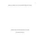 IMPACTO LABORAL DE LOS CONTADORES PÚBLICOS EN NEIVA