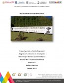 Ensayo Ingeniería en Gestión Empresarial