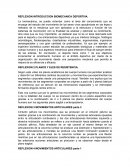 REFLEXION INTRODUCCION BIOMECANICA DEPORTIVA