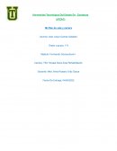 Mi Plan de vida y carrera