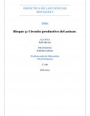 Circuito productivo del azucar