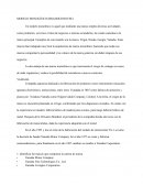 MODELO MONOLÍTICO (BRANDED HOUSE)