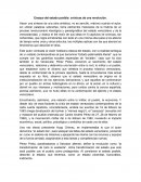 Ensayo del estado posible: crónicas de una revolución