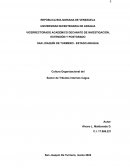 Cultura Organizacional del Sector de Tributos Internos Cagua