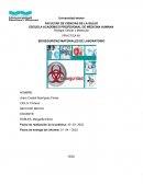 PRACTICA N1 BIOSEGURIDAD MATERIALES DE LABORATORIO