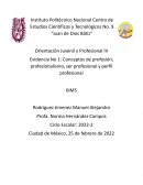 PERFIL PROFESIONAL EJEMPLO