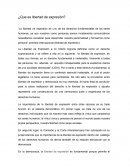 Ensayo de libertad de expresión