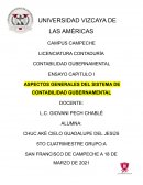 Aspectos generales de la contabilidad gubernamental