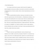 Plan de Marketing interno