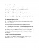 Reseña video Derechos Humanos