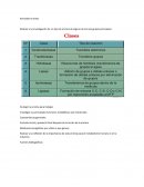 Actividad enzimas. Realizar una investigación de un tipo de enzima de alguno de los seis grupos principales