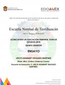 LA ENSEÑANZA DE LA TUTORIA EN LA LICENCIATURA EN EDUCACION PRIMARIA