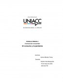 Conducta del consumidor. El consumo y la pandemia