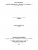 Adoptaría definitivamente en mi empresa, el teletrabajo y la descentralización?