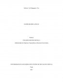 Informe 1 de Pedagogía y Tics