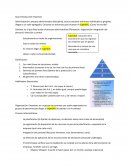 Guía Introducción Empresas