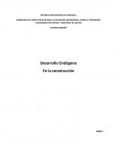 Desarrollo endógeno en la construcción