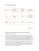 PROCESO PRODUCTIVO CAFE