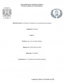 La filosofía, la respuesta a los cuestionamientos humanos
