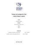 Proyecto de marketing digital CASO VODKA 14 INKAS