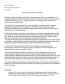 Articulo de opinión: Bullying