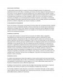 Edad adulta temprana