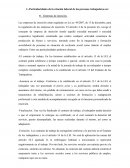 Particularidades de la relación laboral