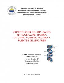 CONSTITUCIÓN DEL ADN, BASES NITROGENADAS, TIAMINA, CITOSINA, GUANINA, ADENINA Y PUENTES DE AZUCARES. Página 1