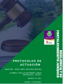 Protocolos de actuacion