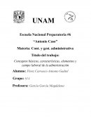 Conceptos básicos, características, elementos y campo laboral de la administración