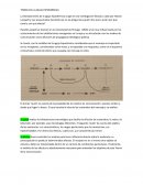 TEORIA DE LA AGUJA HIPODERMICA