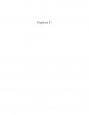 Antecedentes económicos del estudio legal