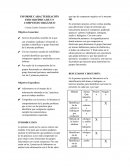 INFORME CARACTERIZACIÓN FISICOQUÍMICA DE UN COMPUESTO ORGÁNICO