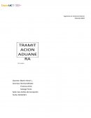 Tramitacion Aduanera