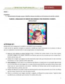 Secuencia de actividades ASI SOMOS