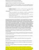 Inflamación de los riñones por infección bacteriana