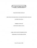 Caso practico final fundamento de negocios internacionales