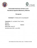 Actividad 1: Introducción a la percepción