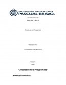 Obsolescencia programada. Modelos económicos