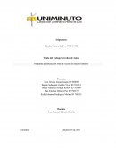 Propuesta de interacción plan de accion